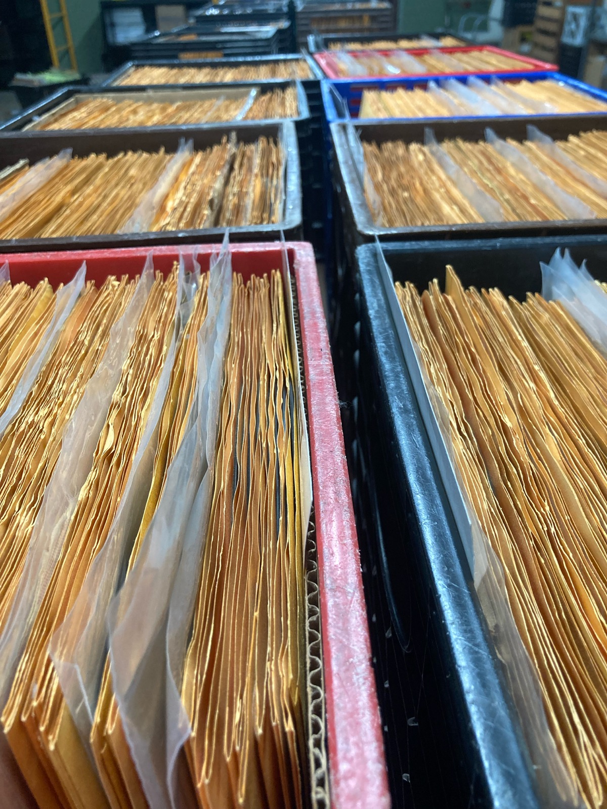 IMG_7896.jpg.jpeg (605 KB)